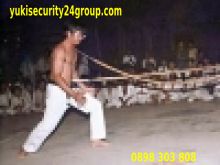 huấn luyện vỏ thuật yu vệ 